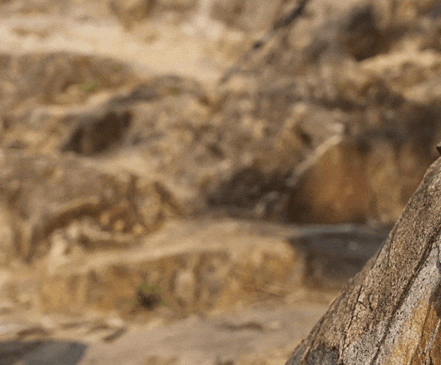 定爬山但是爱穿山地鞋?松弛到底的年轻人:不一(图9) 定爬山但是爱穿山地鞋?松弛到底的年轻人:不一(图9)